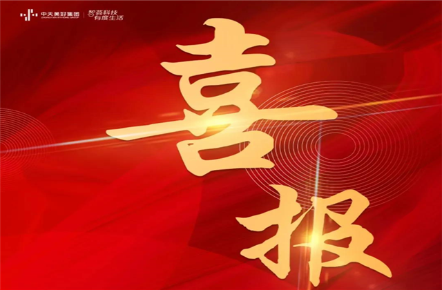 人生就是博美好集团蝉联“2021长三角城市群房地产公司品牌价值TOP10”